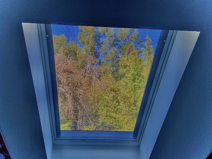 Right Outside My Bedroom Window…