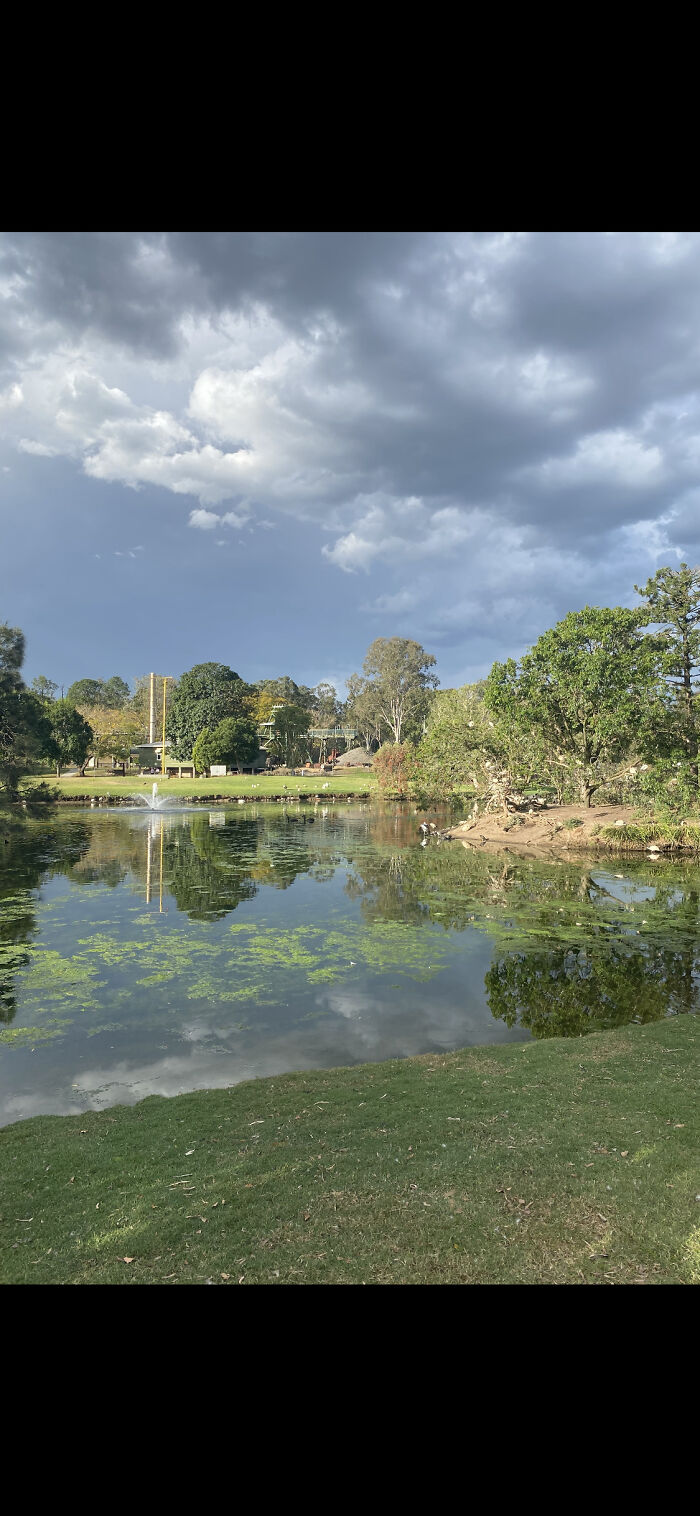 This Is The Park Where We Walk Our Dog Just A Week Ago It Was Under Twenty Metres Of Flood Water