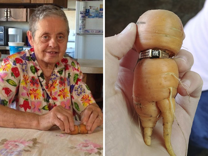 Esta mujer perdió su anillo de boda en el jardín y lo encontró 13 años después en una zanahoria