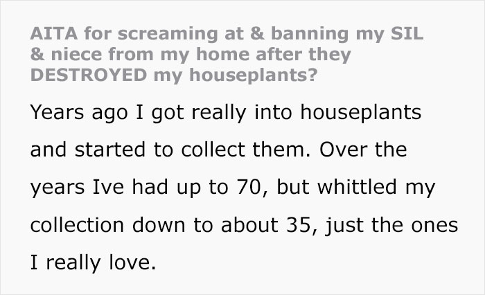 Woman Refuses To See Her Niece And Sister-In-Law After They Trim Her Houseplants And Sell The Cuttings On Marketplace Woman Refuses To See Her Niece And Sister-In-Law After They Trim Her Houseplants And Sell The Cuttings On Marketplace