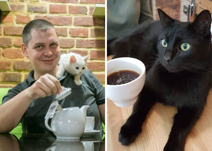 “We Would Never Leave Our Country”: Ukrainian Cat Café Stays Open Amid War “We Would Never Leave Our Country”: Ukrainian Cat Café Stays Open Amid War