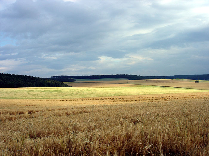 30 Unexplainable Situations That Happened In Broad Daylight And Caught People Off Guard, As Shared By Folks Online