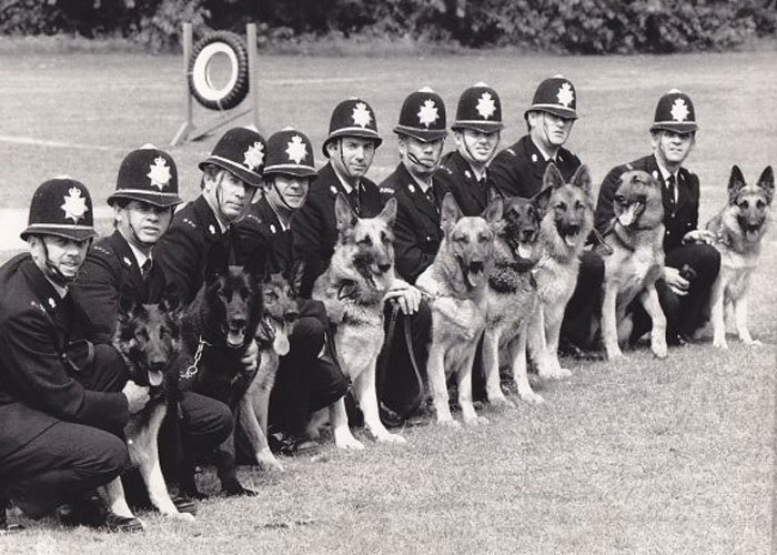 Video Captures The Tiniest Police Pup Doing Rounds Around An Airport, Amasses 9M Views Video Captures The Tiniest Police Pup Doing Rounds Around An Airport, Amasses 9M Views