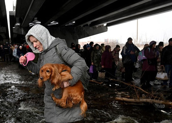 Woman Carries And Comforts Cat Amid Air Raid Sirens Sounding In Kyiv, Ukraine Woman Carries And Comforts Cat Amid Air Raid Sirens Sounding In Kyiv, Ukraine