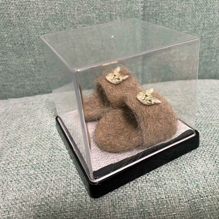 This Cat In Slippers Made From Its Own Fur Is Going Viral This Cat In Slippers Made From Its Own Fur Is Going Viral