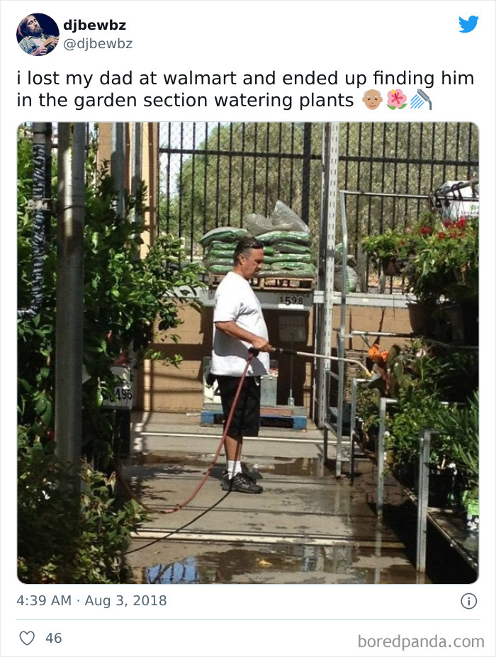 Man watering plants 