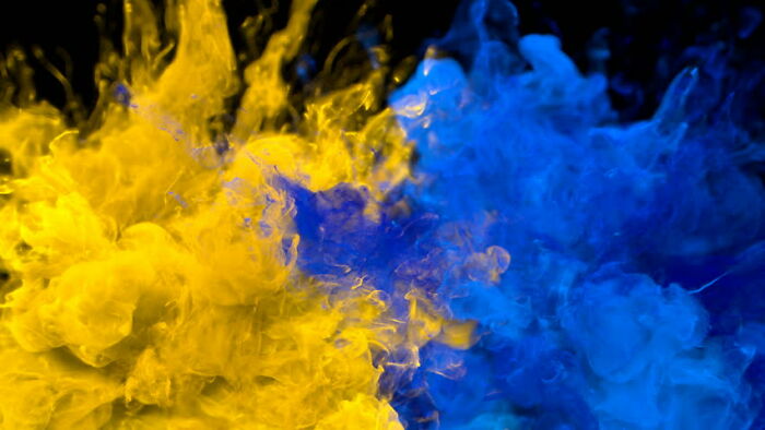 We've Got Your Back, Ukraine