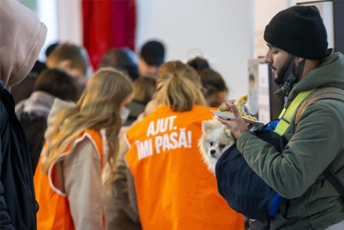 La UE flexibiliza los trámites de entrada para las mascotas que viajan junto a los refugiados ucranianos 