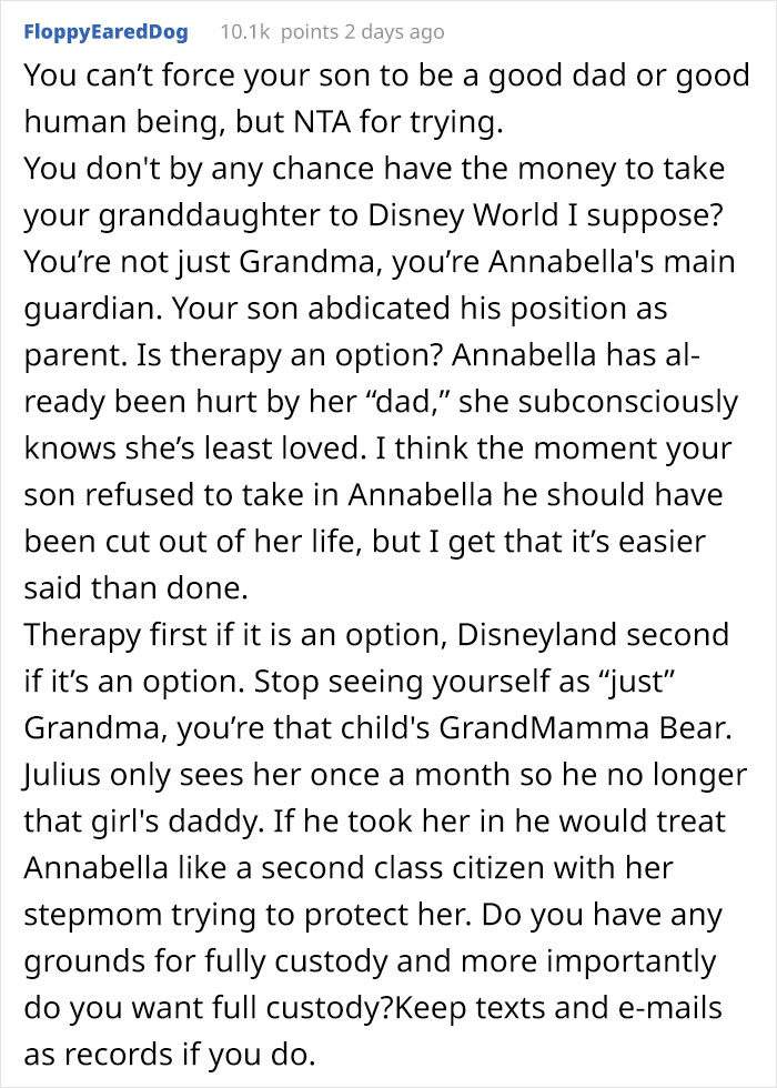 Woman Calls Out Her Son For Not Bringing His Daughter To Disneyland With The Rest Of His Family