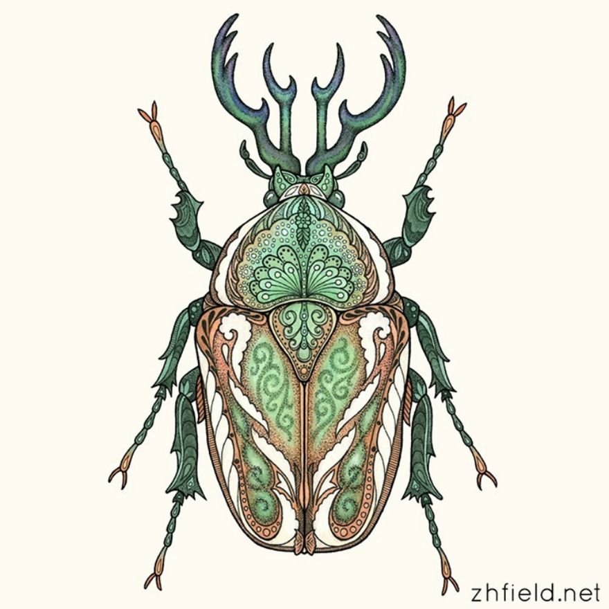 Imaginary Beetle
