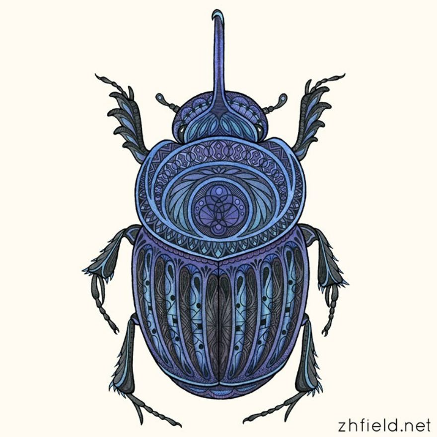 Imaginary Beetle