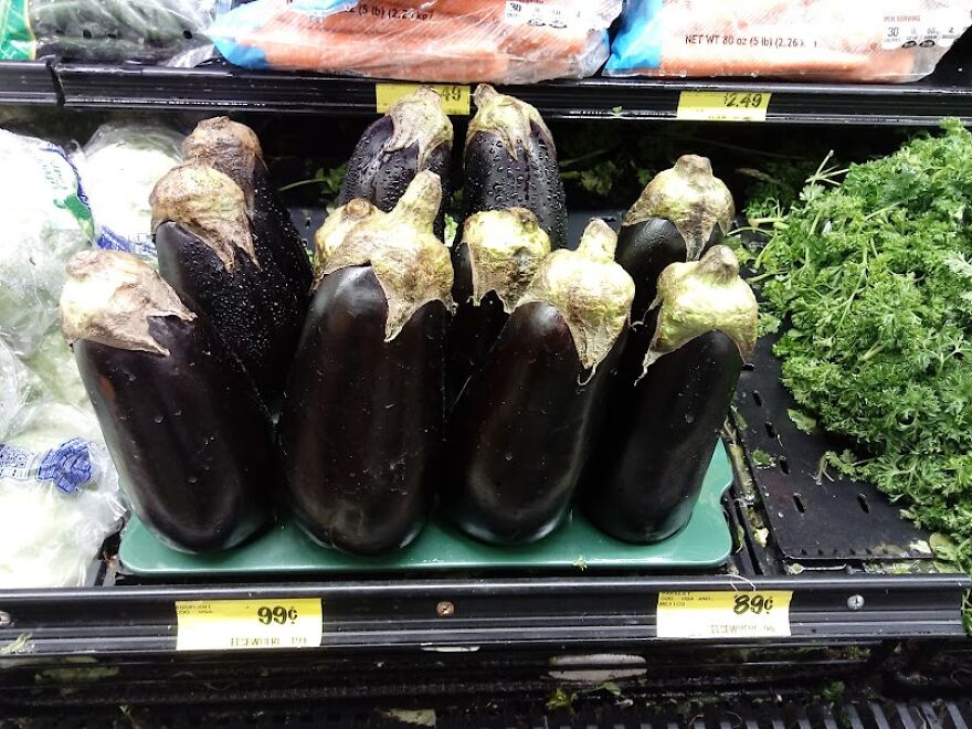 Oh No! Another Invasion Of Body Snatchers! Oh No! Another Invasion Of Body Snatchers!