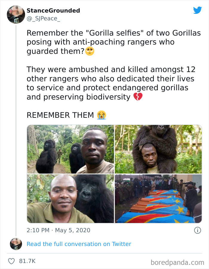 I Really Hate Poachers