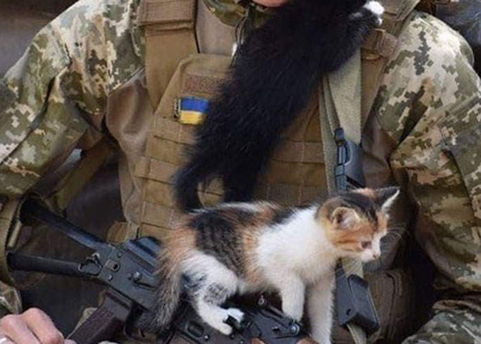 Esta mujer carga con su gato mientras lo consuela ante el sonido de las alarmas de ataque aéreo en Kyiv, Ucrania