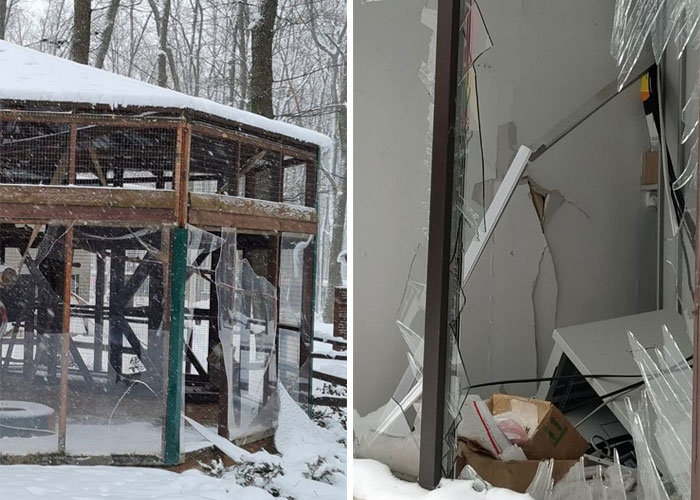 Man Drives 10 Kangaroos To Safety With His Van From A Zoo In Kharkiv That Suffered An Attack Man Drives 10 Kangaroos To Safety With His Van From A Zoo In Kharkiv That Suffered An Attack