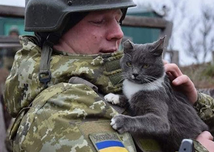Woman Carries And Comforts Cat Amid Air Raid Sirens Sounding In Kyiv, Ukraine Woman Carries And Comforts Cat Amid Air Raid Sirens Sounding In Kyiv, Ukraine