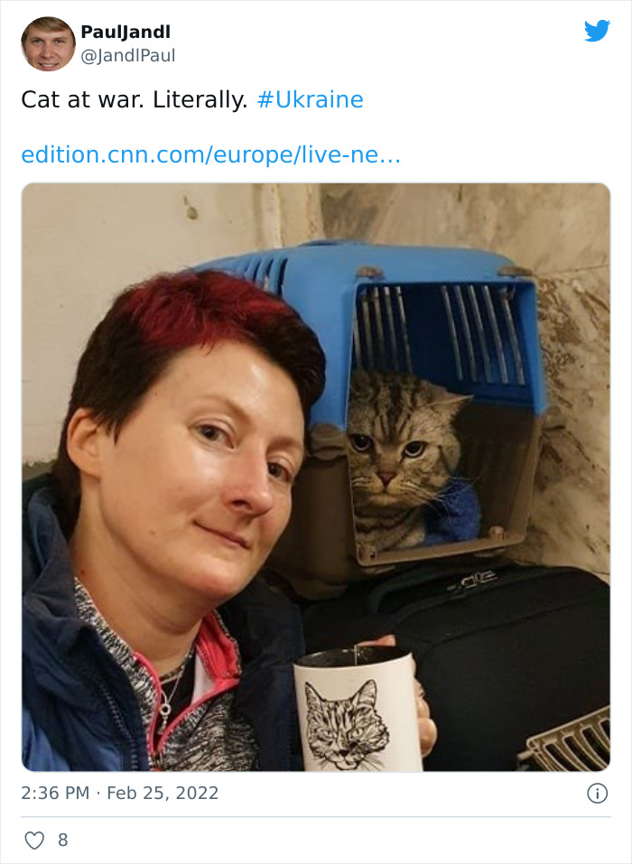 "7 Days Ago Everything Changed": This Is What It's Like To Live In The Kyiv Bomb Shelter When You’re A Cat
