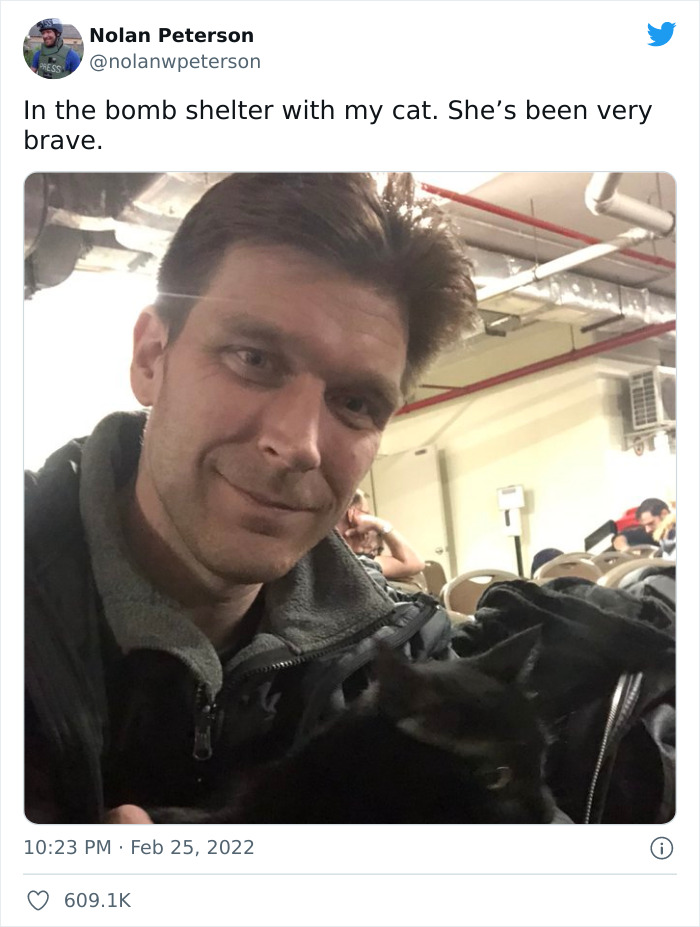 "7 Days Ago Everything Changed": This Is What It's Like To Live In The Kyiv Bomb Shelter When You’re A Cat "7 Days Ago Everything Changed": This Is What It's Like To Live In The Kyiv Bomb Shelter When You’re A Cat