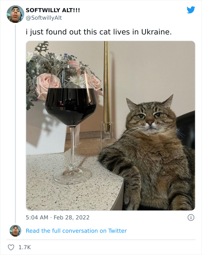 "7 Days Ago Everything Changed": This Is What It's Like To Live In The Kyiv Bomb Shelter When You’re A Cat "7 Days Ago Everything Changed": This Is What It's Like To Live In The Kyiv Bomb Shelter When You’re A Cat