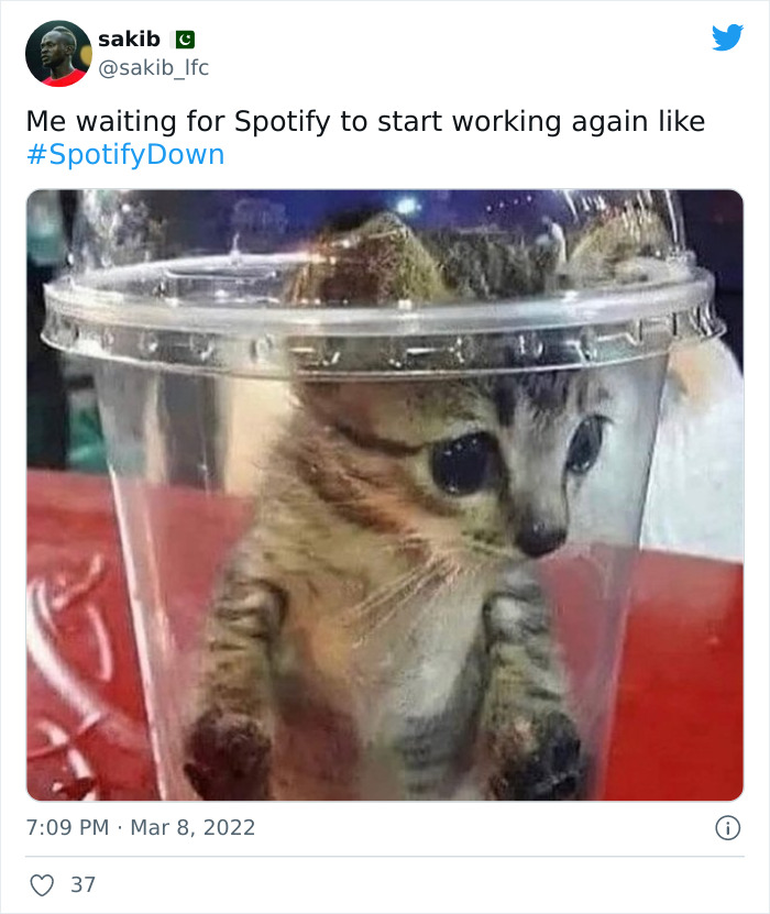 Spotify-Down-Memes-2022