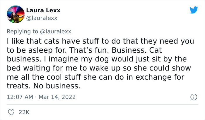 Online Folks Reveal 26 Stories About Cats And Their Engaging Night Routines Online Folks Reveal 26 Stories About Cats And Their Engaging Night Routines