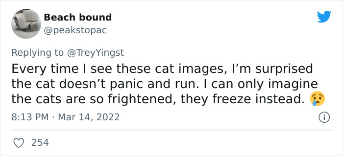 Woman Carries And Comforts Cat Amid Air Raid Sirens Sounding In Kyiv, Ukraine Woman Carries And Comforts Cat Amid Air Raid Sirens Sounding In Kyiv, Ukraine