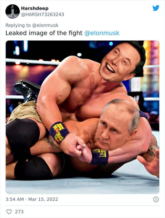 People Online Are Either Loving Or Hating Elon Musk Right Now For Inviting Putin To A Duel To Win Ukraine And Posting Memes People Online Are Either Loving Or Hating Elon Musk Right Now For Inviting Putin To A Duel To Win Ukraine And Posting Memes