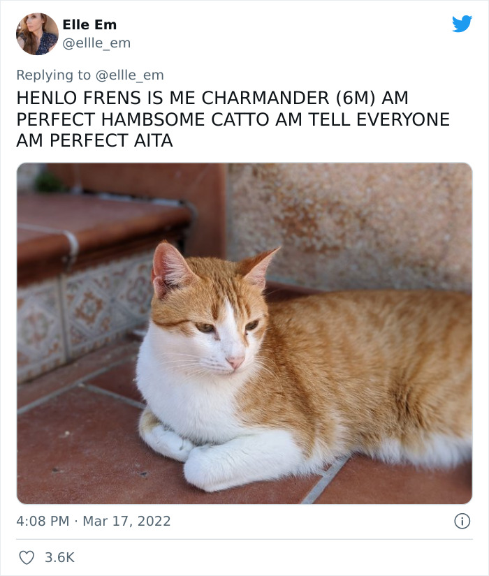 Aita-Cats-Twitter-Thread