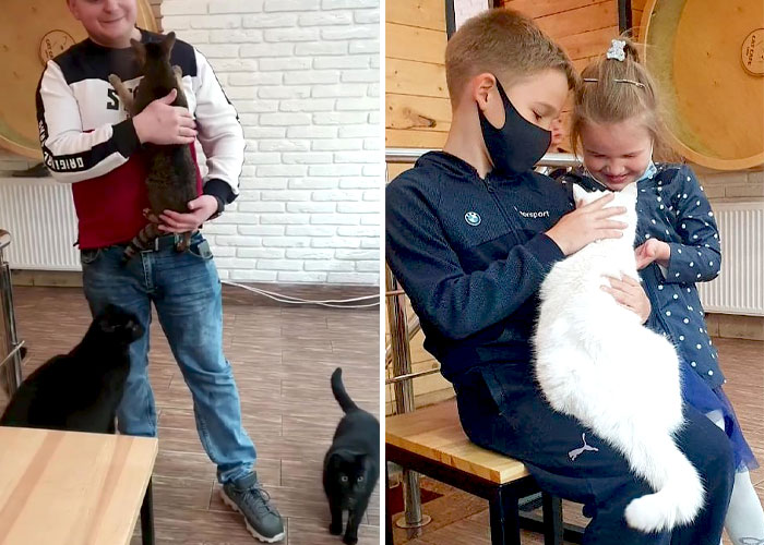 “We Would Never Leave Our Country”: Ukrainian Cat Café Stays Open Amid War