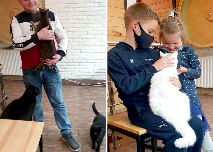 “We Would Never Leave Our Country”: Ukrainian Cat Café Stays Open Amid War “We Would Never Leave Our Country”: Ukrainian Cat Café Stays Open Amid War