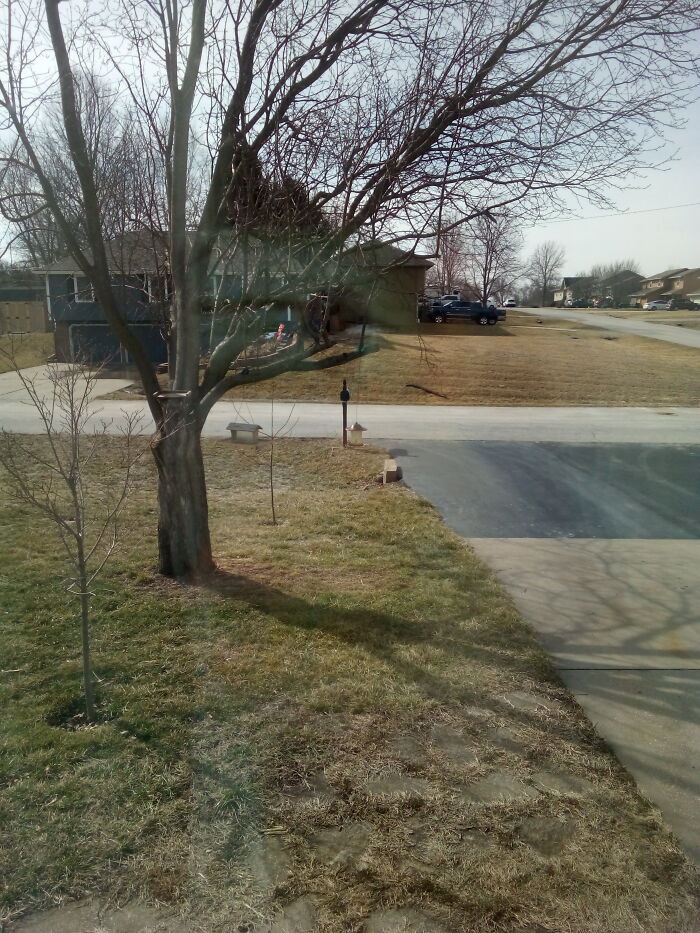 Outside My Grandmas House Looks Like A Nice Neighborhood But Some Of The People Here Can Be Asshats-