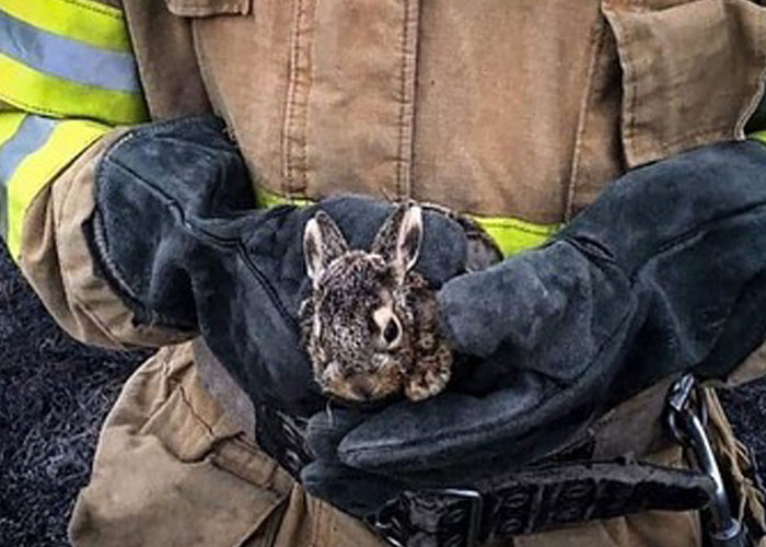 Woman Carries And Comforts Cat Amid Air Raid Sirens Sounding In Kyiv, Ukraine Woman Carries And Comforts Cat Amid Air Raid Sirens Sounding In Kyiv, Ukraine