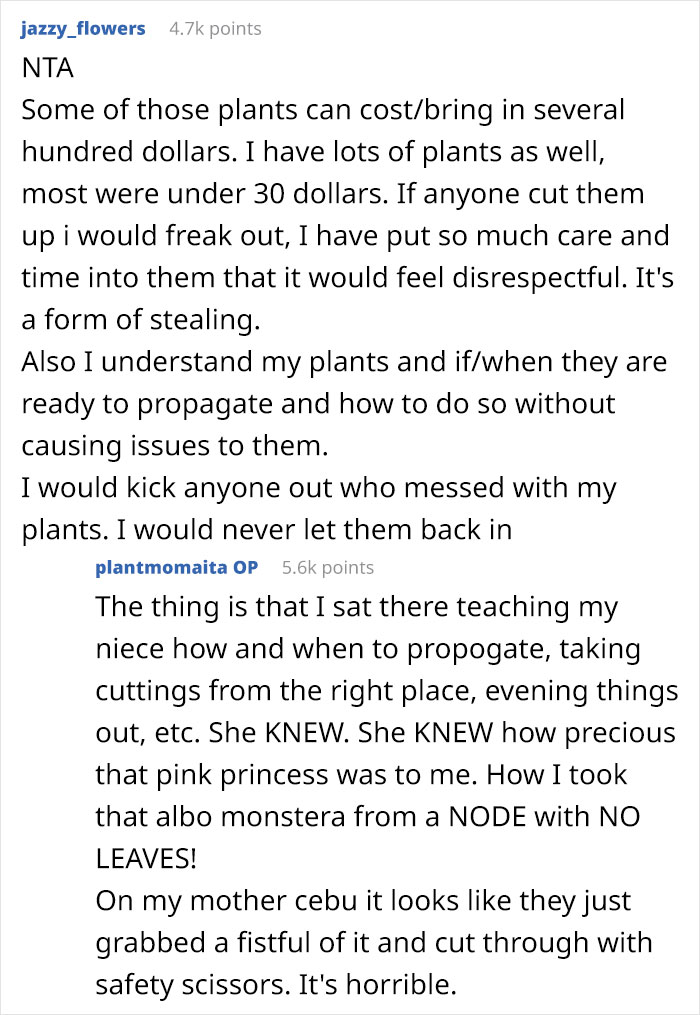 Woman Refuses To See Her Niece And Sister-In-Law After They Trim Her Houseplants And Sell The Cuttings On Marketplace Woman Refuses To See Her Niece And Sister-In-Law After They Trim Her Houseplants And Sell The Cuttings On Marketplace