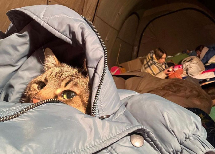Woman Carries And Comforts Cat Amid Air Raid Sirens Sounding In Kyiv, Ukraine Woman Carries And Comforts Cat Amid Air Raid Sirens Sounding In Kyiv, Ukraine
