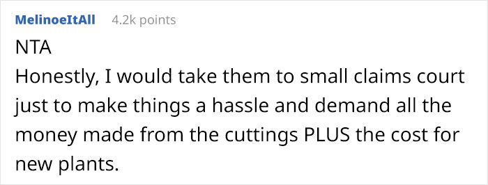 Woman Refuses To See Her Niece And Sister-In-Law After They Trim Her Houseplants And Sell The Cuttings On Marketplace Woman Refuses To See Her Niece And Sister-In-Law After They Trim Her Houseplants And Sell The Cuttings On Marketplace