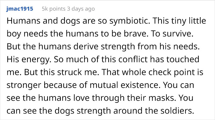 Puppy Rescued By Ukrainian Soldiers Becomes A Trusty Watchdog Puppy Rescued By Ukrainian Soldiers Becomes A Trusty Watchdog