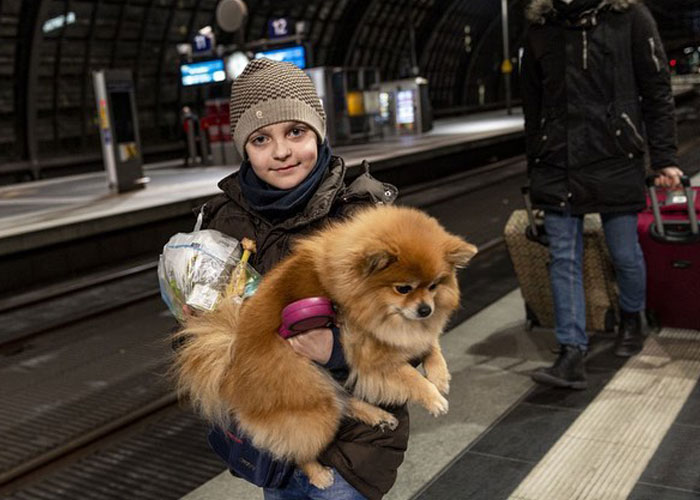 Woman Carries And Comforts Cat Amid Air Raid Sirens Sounding In Kyiv, Ukraine Woman Carries And Comforts Cat Amid Air Raid Sirens Sounding In Kyiv, Ukraine