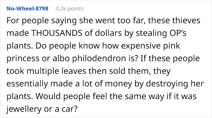 Woman Refuses To See Her Niece And Sister-In-Law After They Trim Her Houseplants And Sell The Cuttings On Marketplace Woman Refuses To See Her Niece And Sister-In-Law After They Trim Her Houseplants And Sell The Cuttings On Marketplace