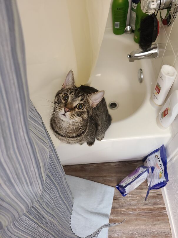 This Face Always Makes My Day