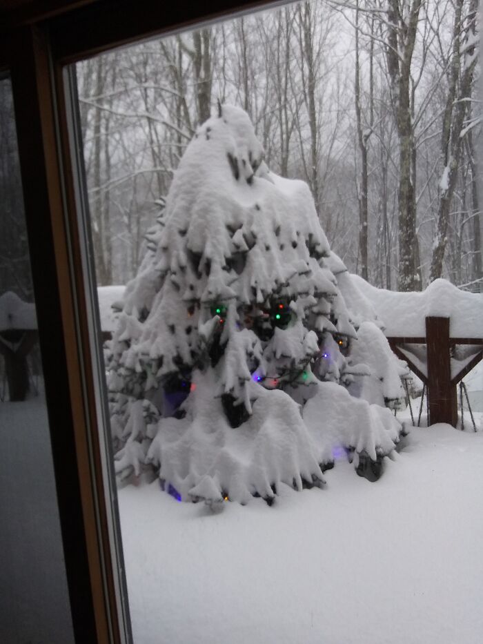 Snowstorm In Vermont