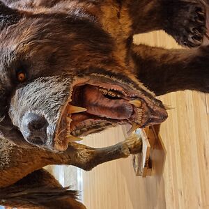 itskrisisppgp avatar