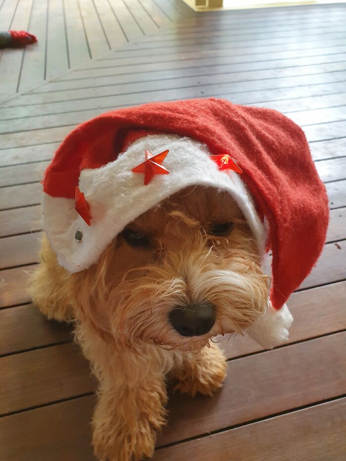 She Didn't Like It...