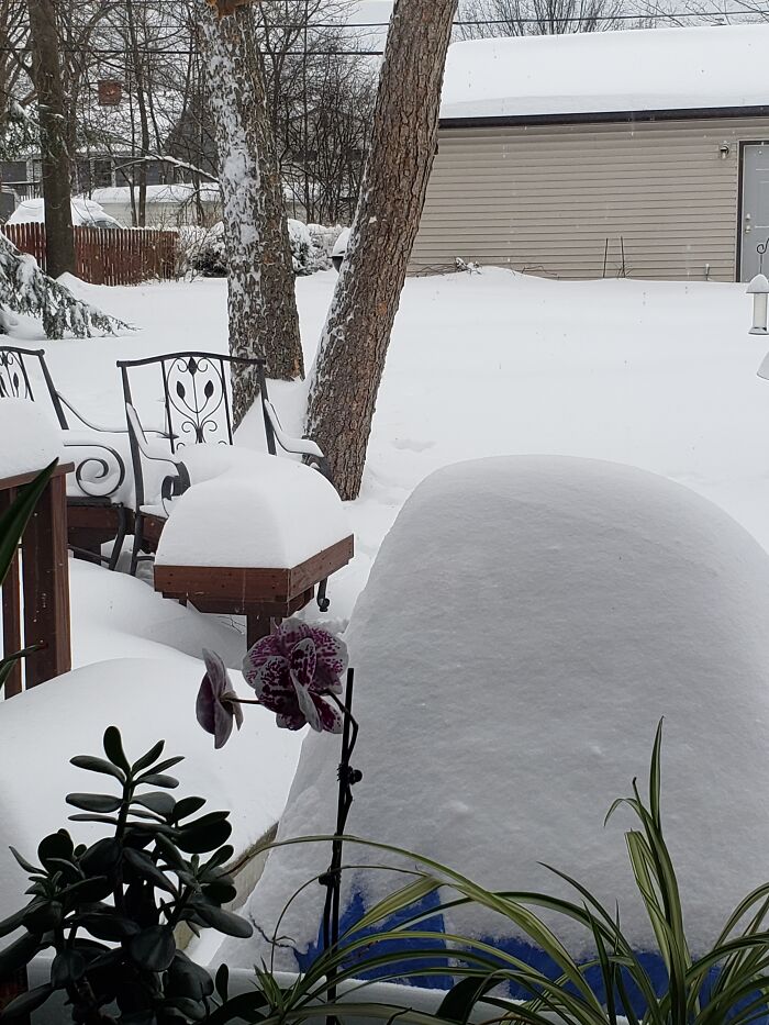 Late Season Snow In Oh.