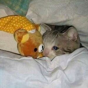 irisrainbow16 avatar