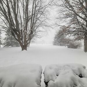 alliewashington avatar