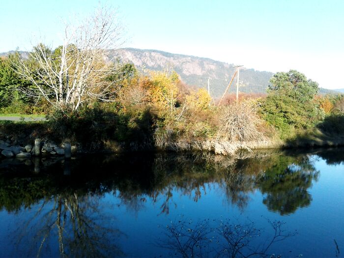 Home In The Estuary At Cowichan Bay B.c. Canada