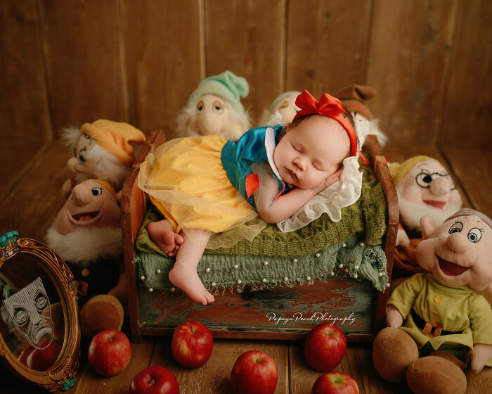 Beautiful Snow White And The 7 Dwarfs