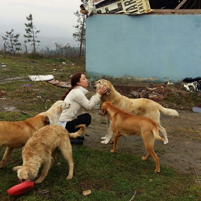 Almost Every Day After Work, This Woman Drives Up The Hills Of Sapanca In Turkey To Take Care Of Neglected Dogs There Almost Every Day After Work, This Woman Drives Up The Hills Of Sapanca In Turkey To Take Care Of Neglected Dogs There