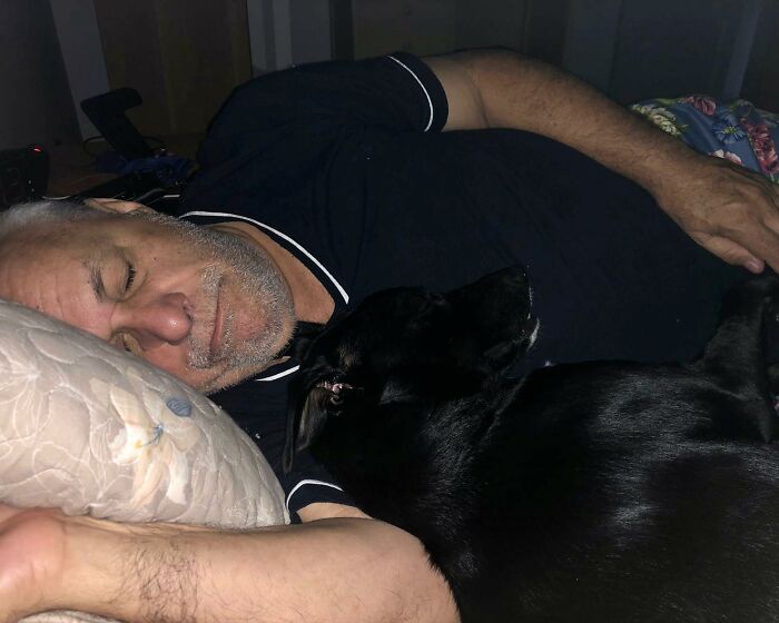 Home Camera Caught This Owner And Dog's Adorable Nighttime Routine, And The Video Of It Went Viral Home Camera Caught This Owner And Dog's Adorable Nighttime Routine, And The Video Of It Went Viral