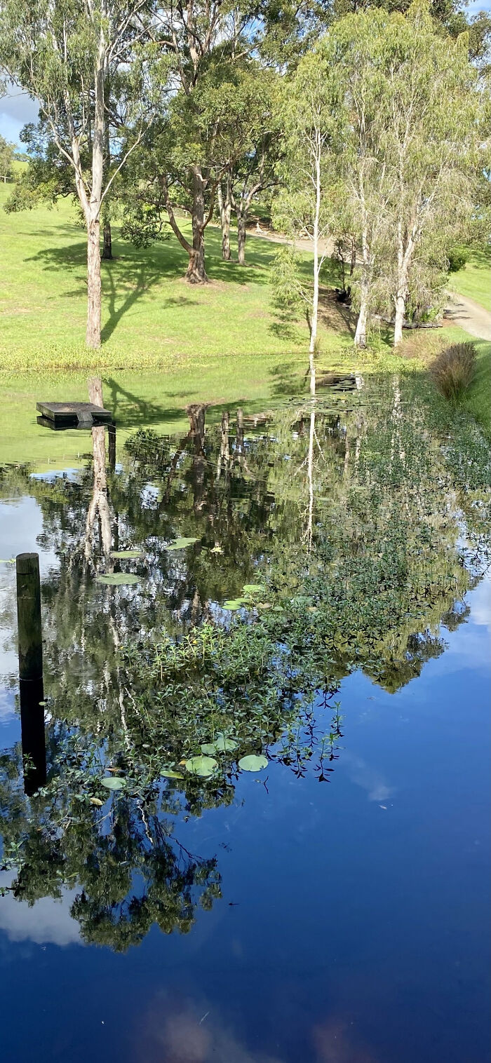 Pretty Pond